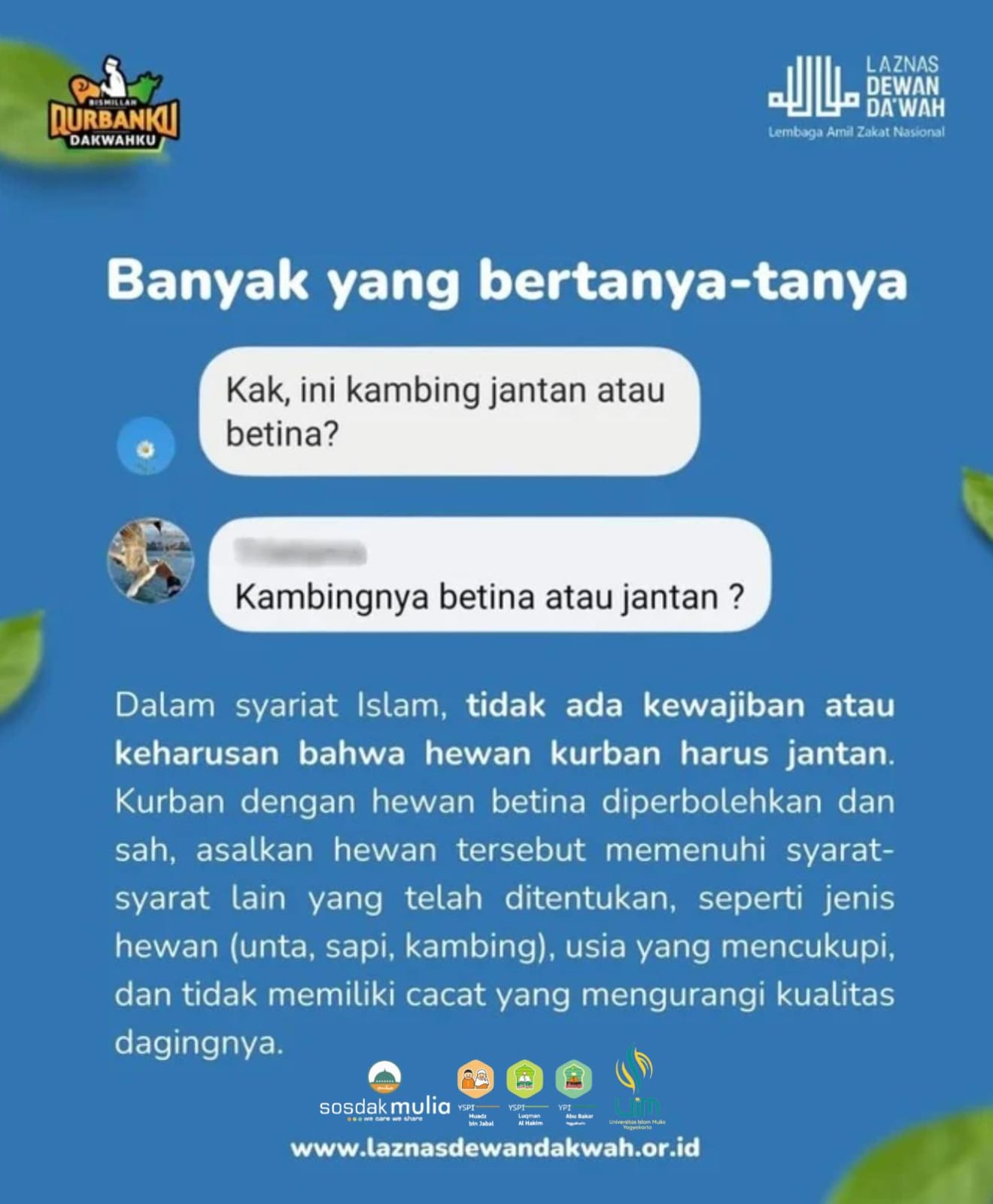 Memangnya Qurban Harus Jantan